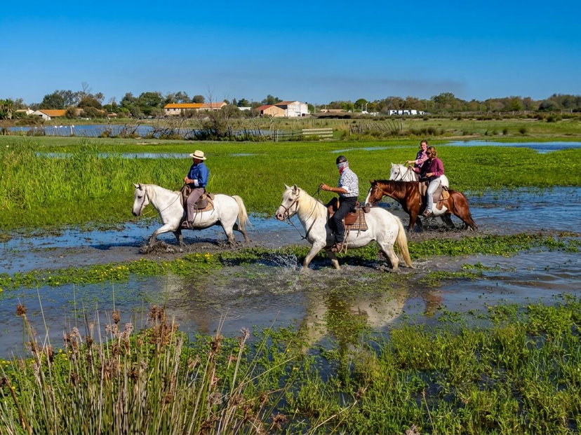 Camargue e Arles: il nostro viaggio tra natura, storia e arte. Itinerario completo preview