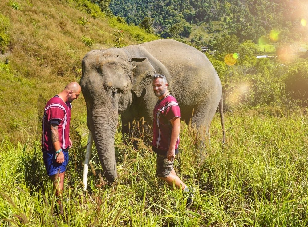 Asian Elephant Projects: Un giorno con gli elefanti di Chiang Mai