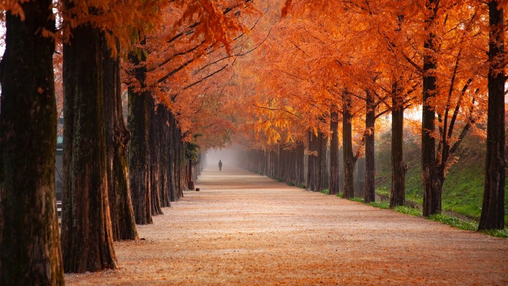 Fughe romantiche d’autunno: le migliori destinazioni in Europa