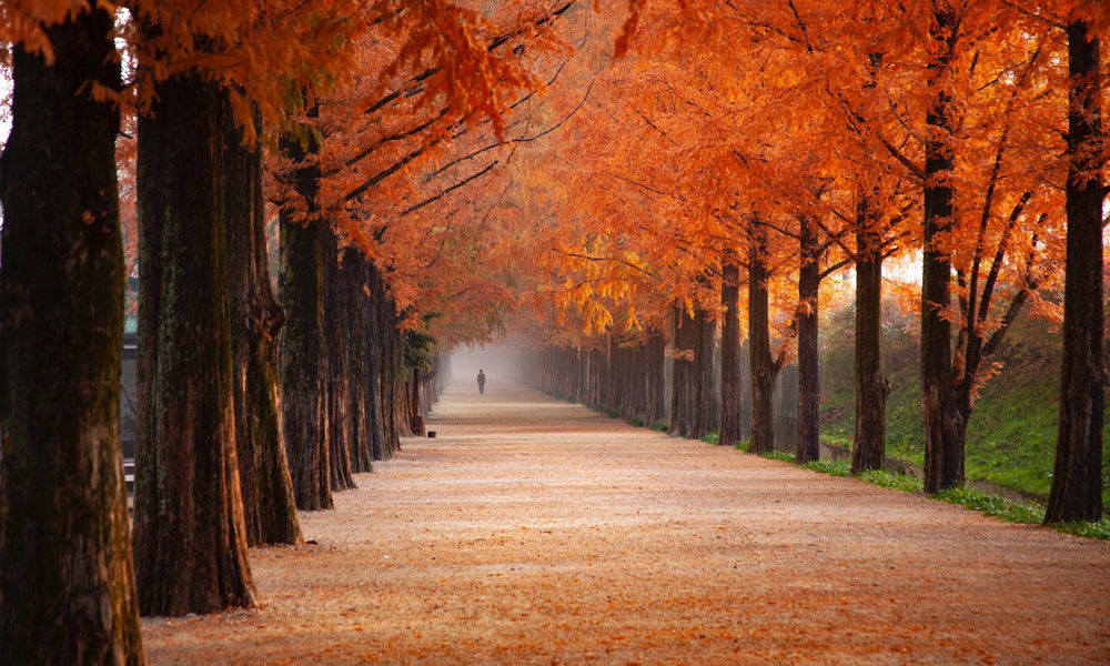 Fughe romantiche d’autunno: le migliori destinazioni in Europa