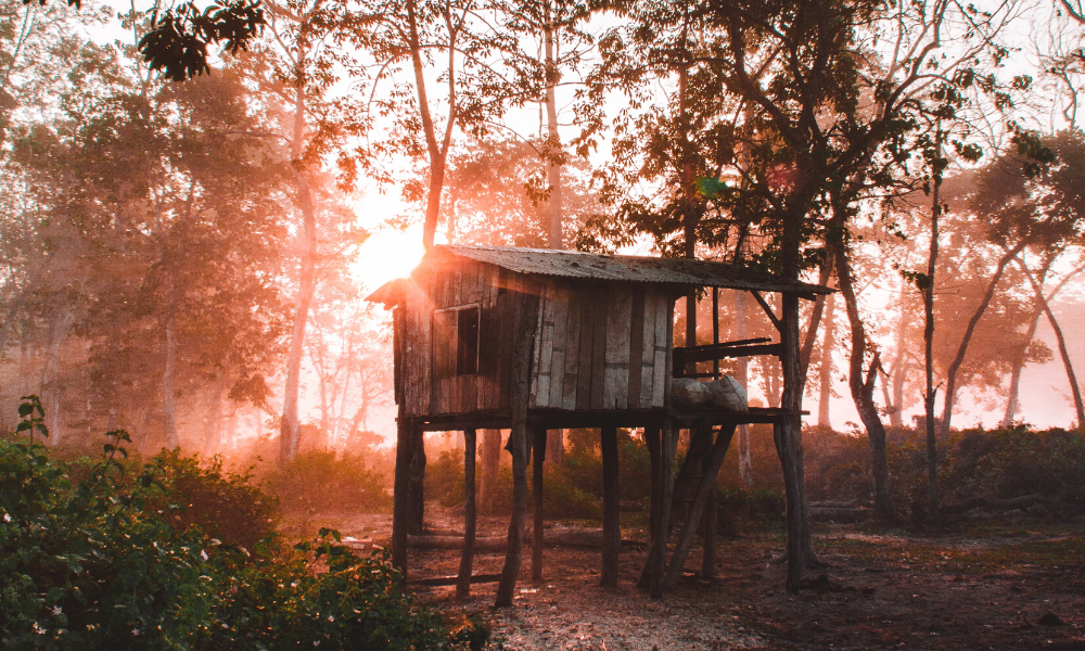 Dove dormire a Chitwan: le migliori zone dove alloggiare e prendere un albergo