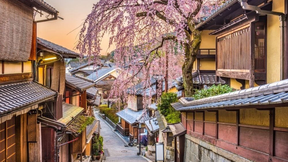 Dove dormire a Kyoto: I quartieri consigliati e i migliori hotel