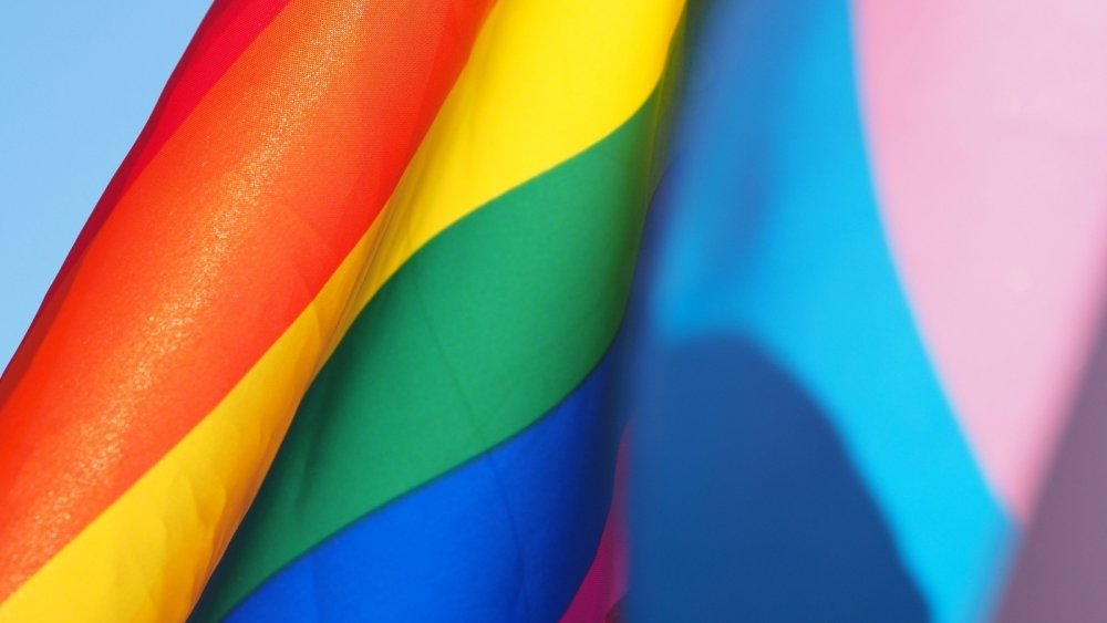 Come celebrare la giornata internazionale contro omofobia, bifobia e transfobia