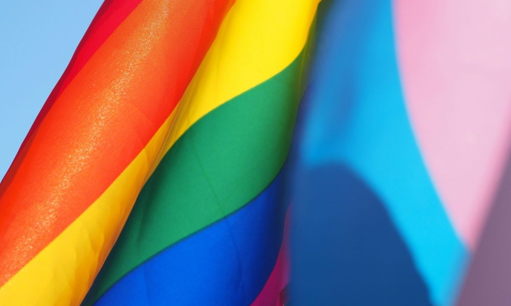 Come celebrare la giornata internazionale contro omofobia, bifobia e transfobia