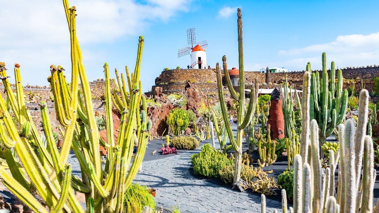 Cosa vedere a Lanzarote (Isole Canarie) in 7 giorni: itinerario completo con i luoghi più belli dell’isola