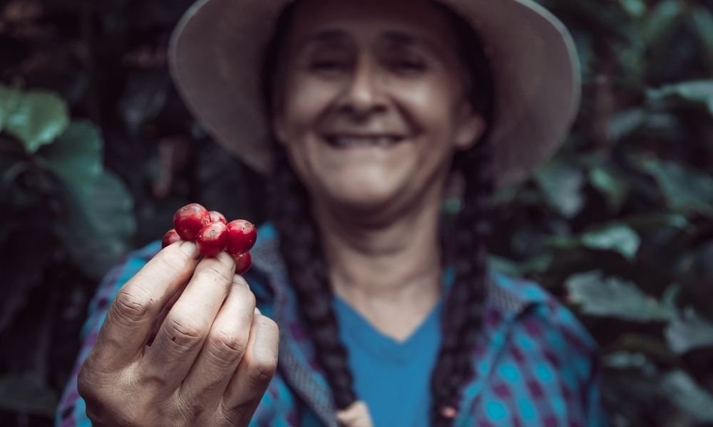 Dove visitare una piantagione di caffè in Colombia?