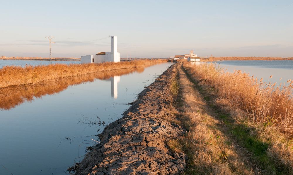 La Albufera Valencia: Tutto quello da sapere per visitare il Parco Naturale di Valencia