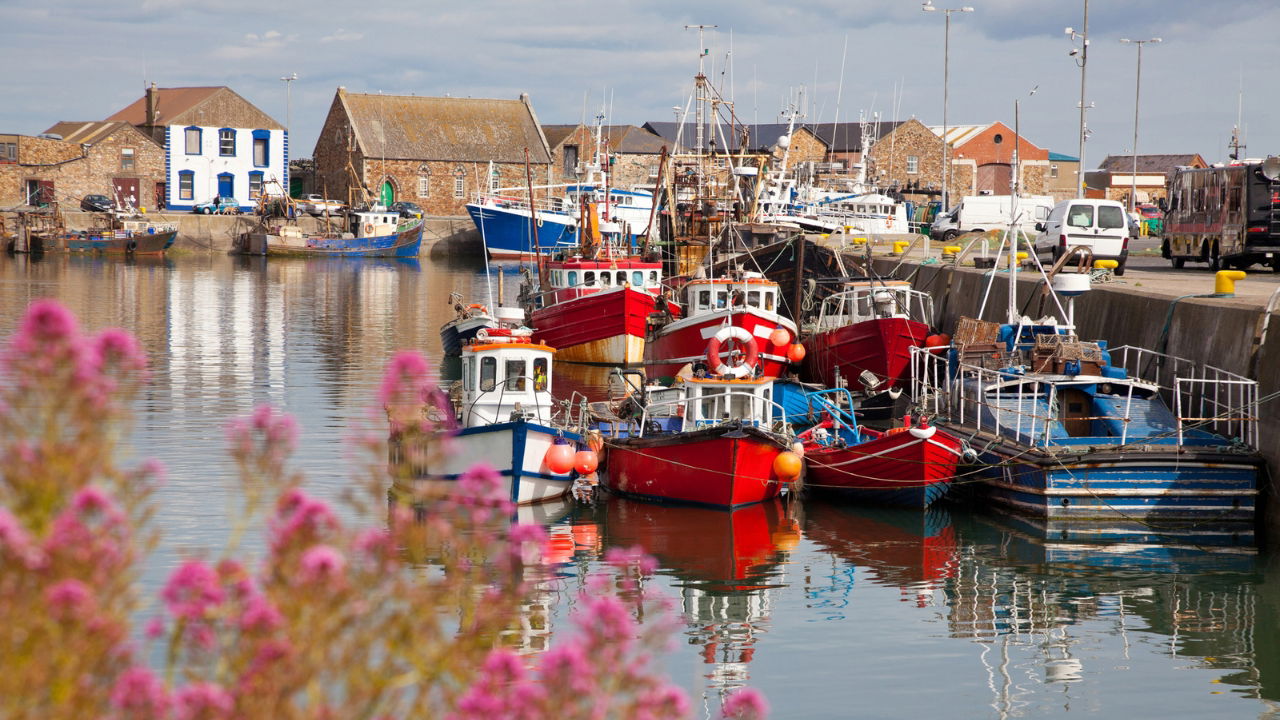 Howth (Dublino): Cosa fare e cosa vedere nel piccolo villaggio di pescatori in Irlanda