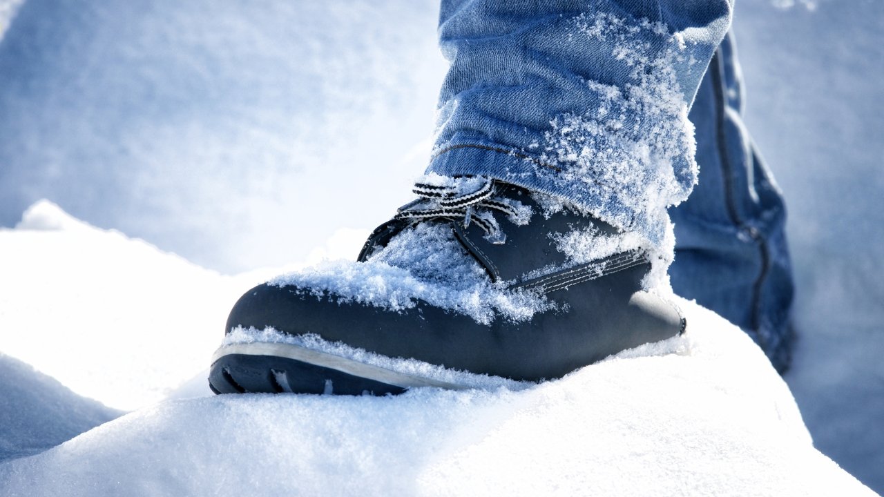 Acquista Scarpe antinfortunistiche invernali in pelle nera alla caviglia  Scarpe impermeabili da uomo Stivali in cotone termico