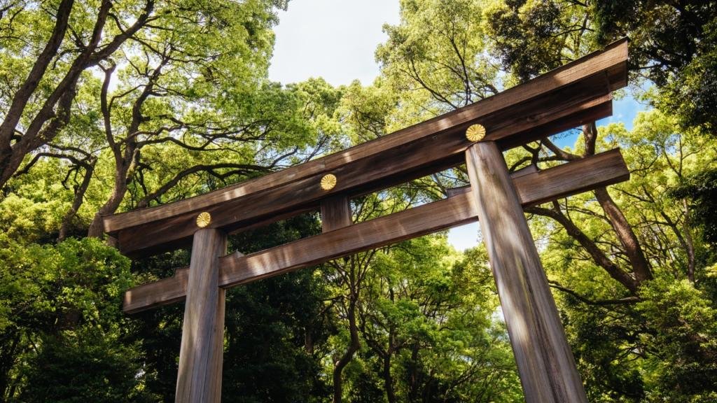 Il grande torii al santuario Meiji Jingu i migliori quartieri di tokyo irinerario completo giappone