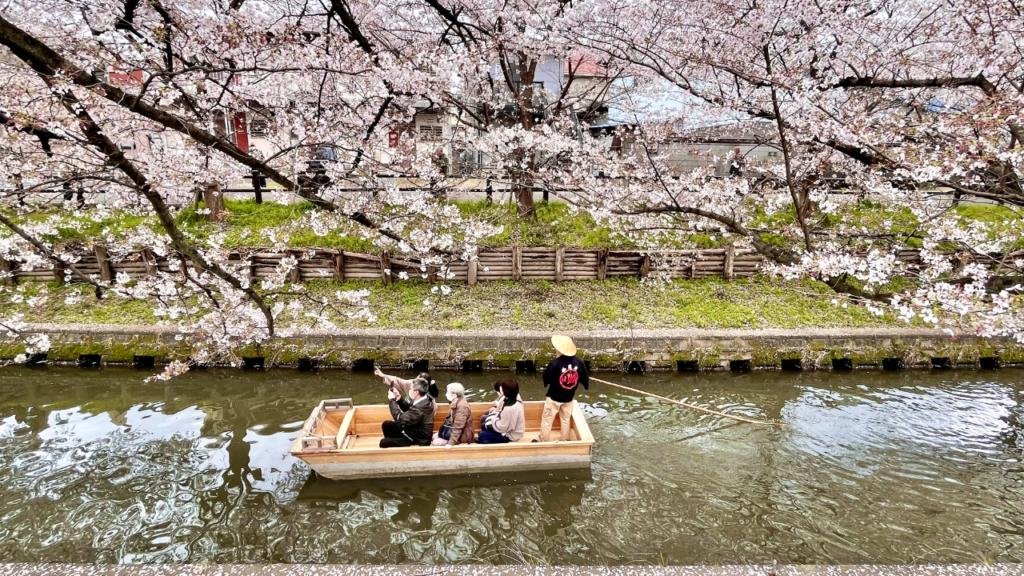 Kawagoe durante la fioritura dei ciliegi Cosa vedere nei dintorni di Tokyo itinerario completo giappone