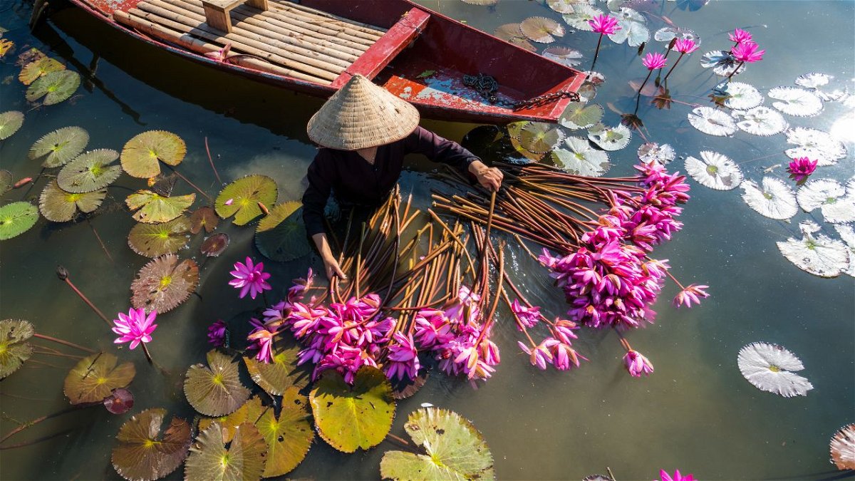 Come organizzare un viaggio in Vietnam: Consigli per un tour in Vietnam fai da te