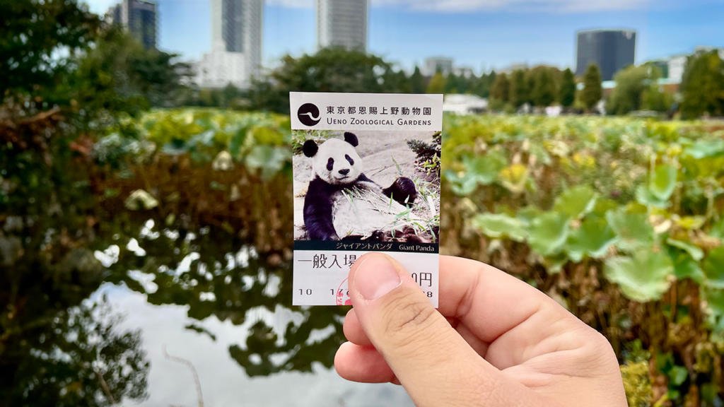 lo-zoo-di-ueno-dove-vedere-il-Panda-i-migliori-quartieri-di-tokyp-itinerario-completo-giappone