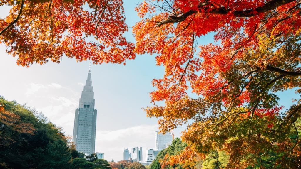 yoyogi-park-in-autunno-cosa-vedere-i-migliori-quaertieri-di-tokyo-itinerario-completo-giappone