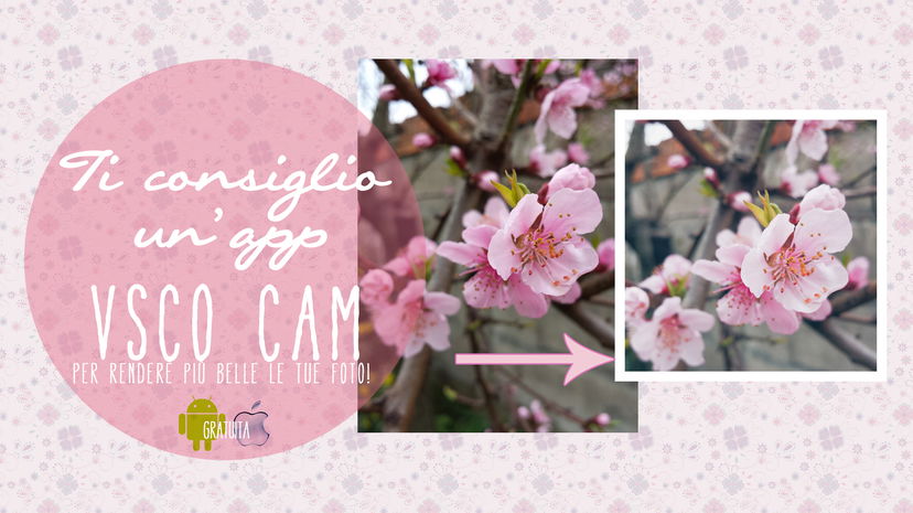 Ti consiglio un’app! ◆ VSCO Cam per le tue foto! preview