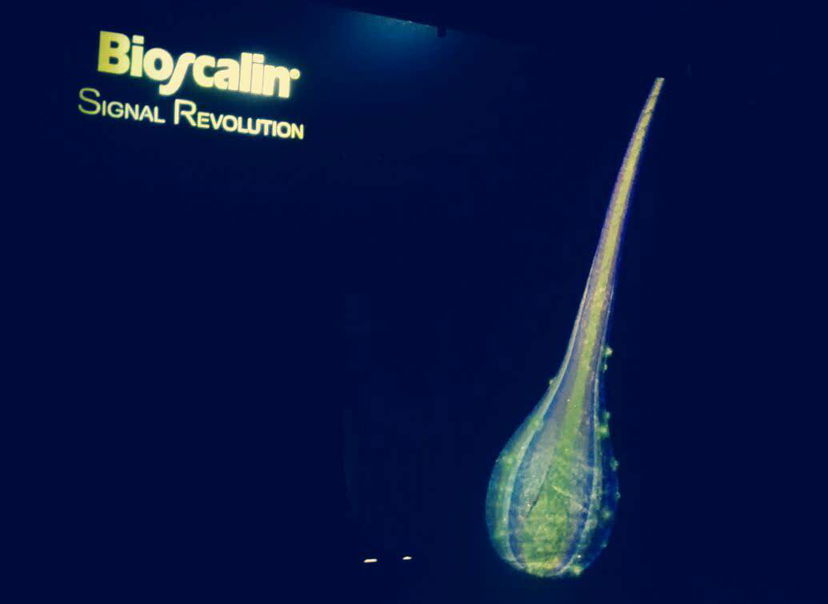 Bioscalin vince a CosmoFarma 2017: l’innovazione contro la caduta dei capelli article-post