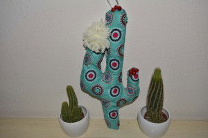  cactus imbottito