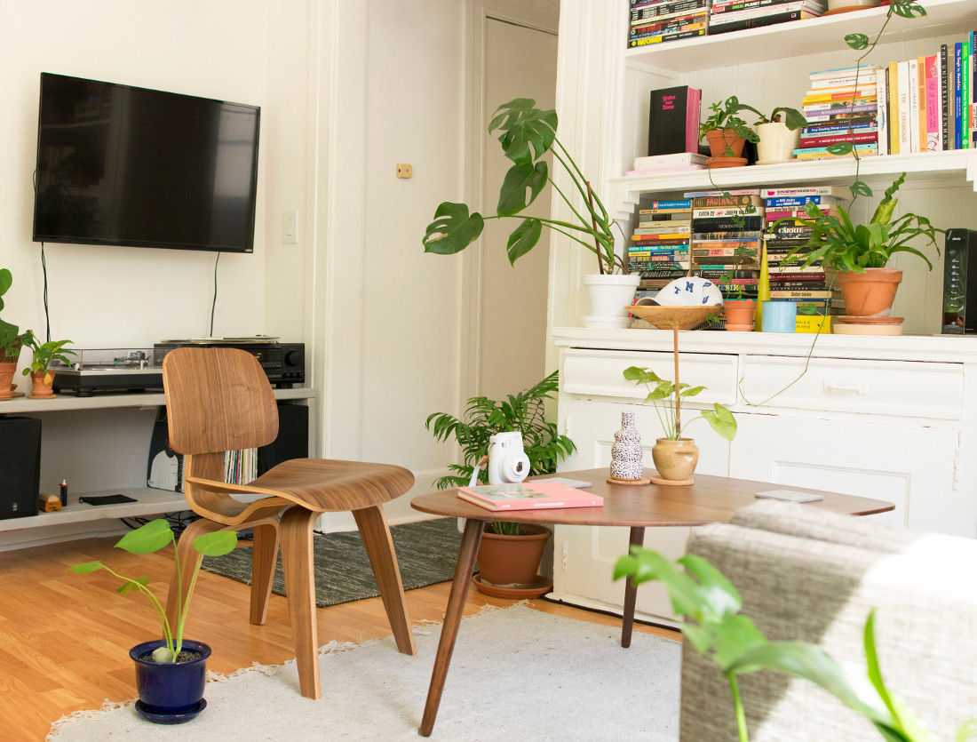 Piante di tendenza del 2018: monstera, areca e pilea article-post