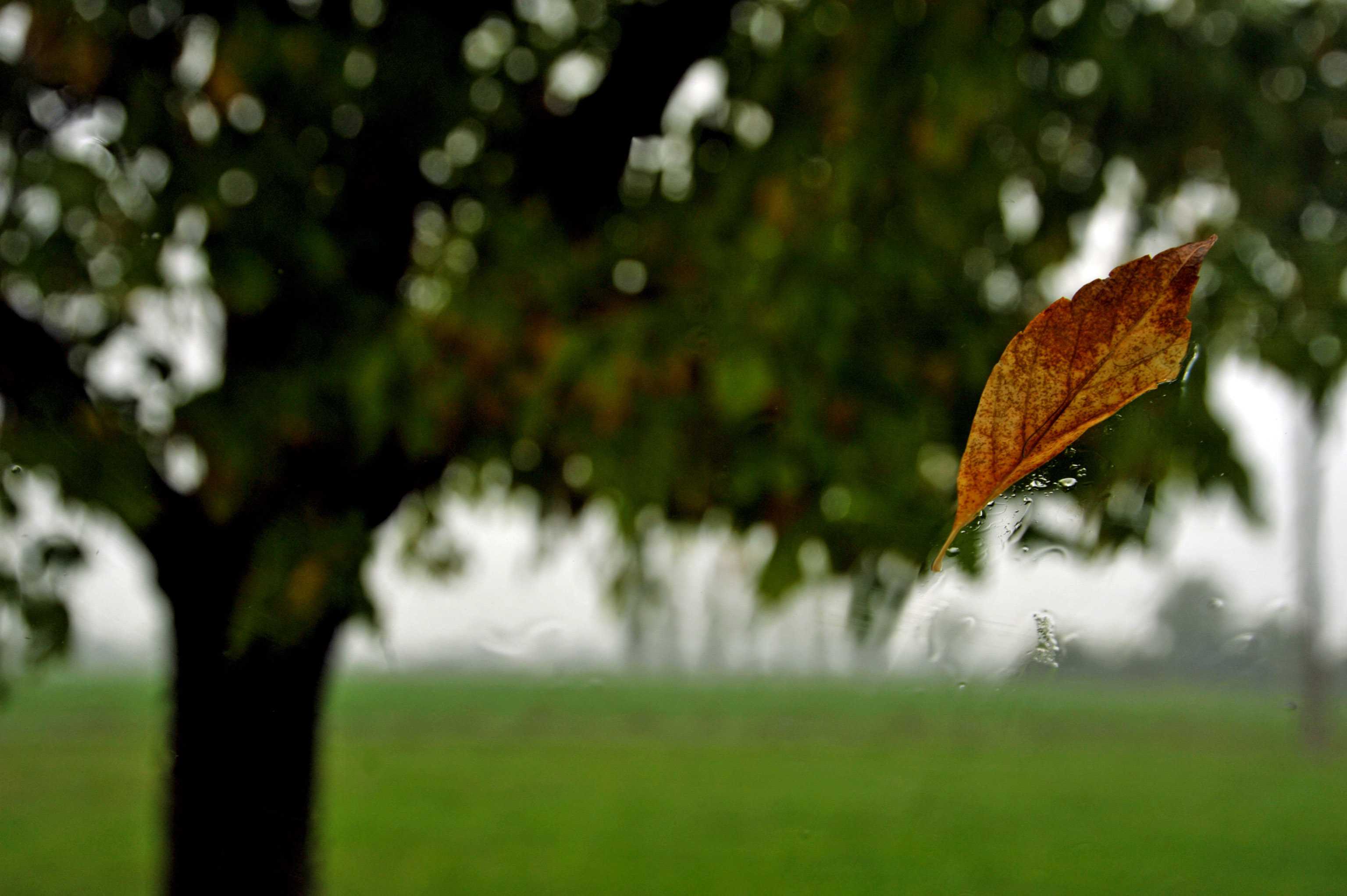 dieta autunno