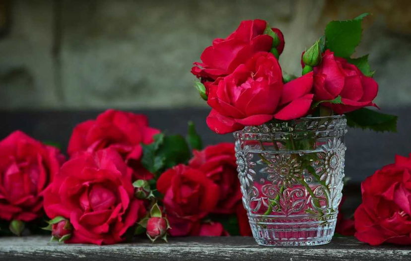 Rose rosse, in questo 2 giugno, per ricordare le donne che hanno fatto l’Italia | WEGIRLS article-post